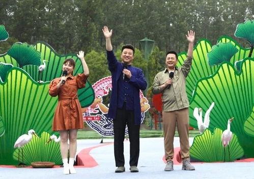 台湾云顶爆料最新消息视频,揭秘台湾云顶娱乐热点动态